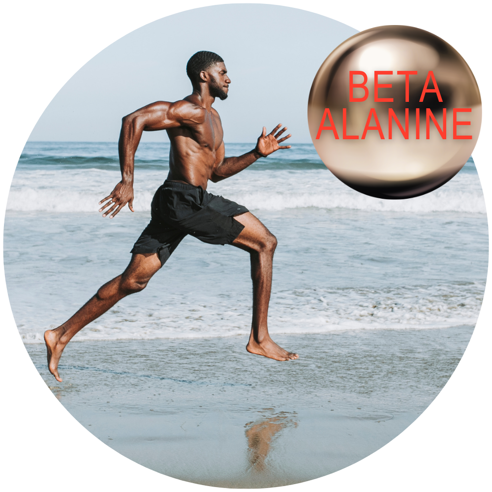 3 Pack--Nitric Plus- 180 Capsules