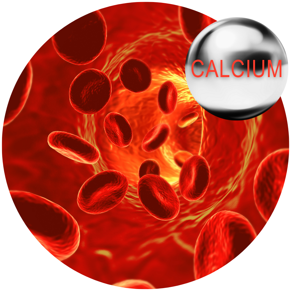 3 Pack--Nitric Plus- 180 Capsules